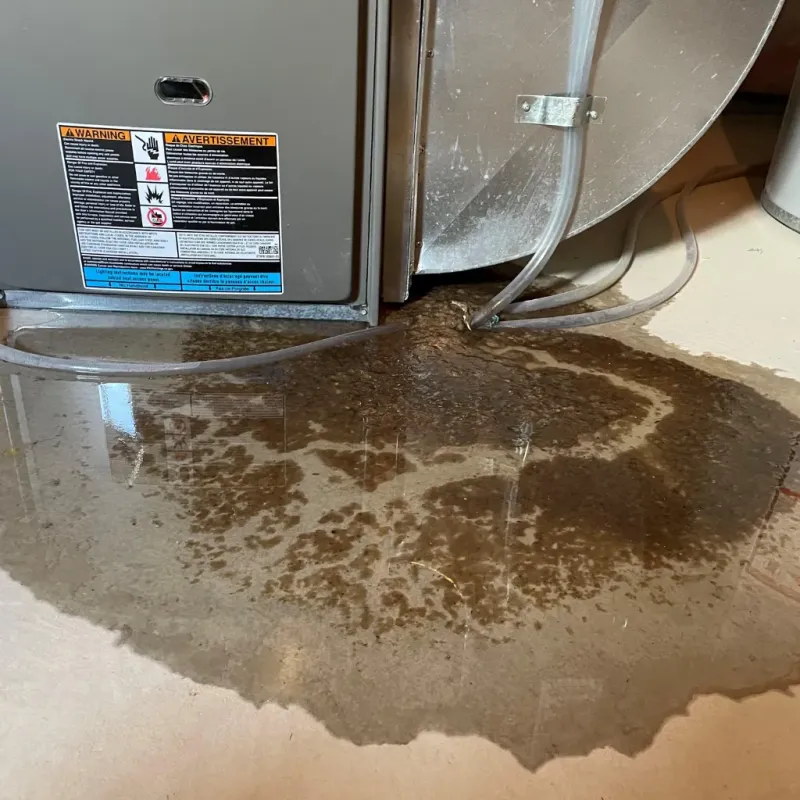 Appliance Leak Cleanup in Beaver Falls, PA